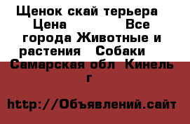 Щенок скай терьера › Цена ­ 20 000 - Все города Животные и растения » Собаки   . Самарская обл.,Кинель г.